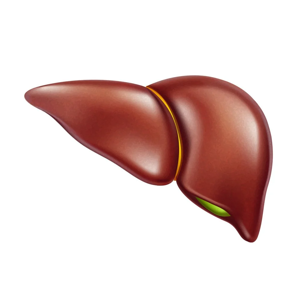 Healthy liver